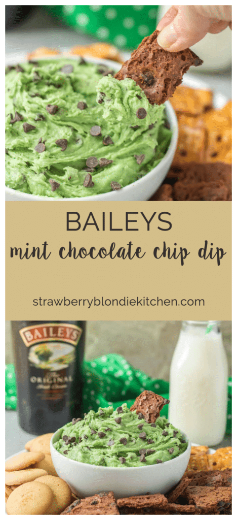 This Baileys Mint Chocolate Chip Dip is perfect for mint chocolate lovers and for when you need a tasty dessert for St. Patrick's Day! | Strawberry Blondie Kitchen