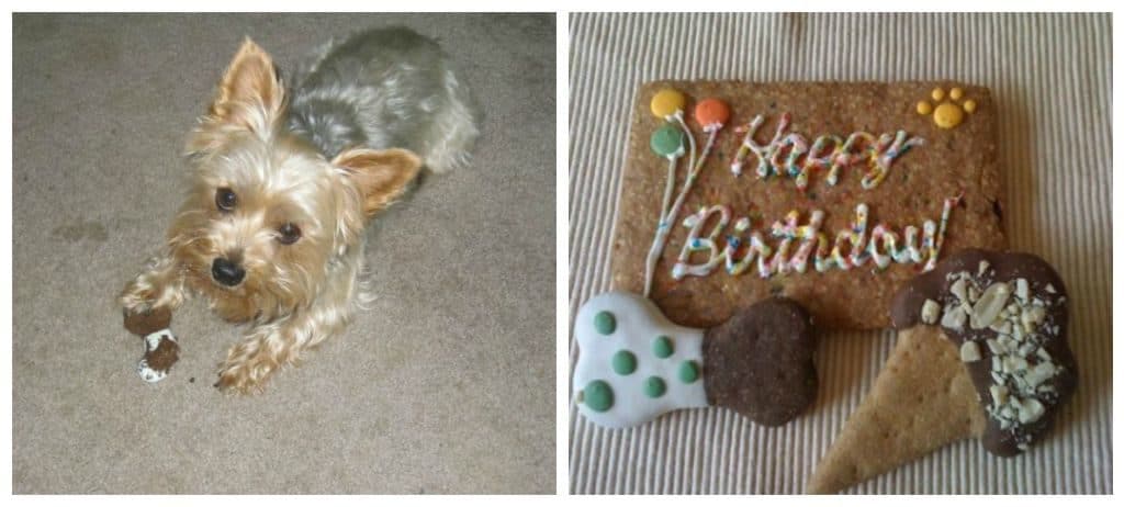 Treat your dog to fabulous Birthday Celebrations with Milo’s Kitchen.  Nothing says "I love you" more than delicious, all natural, 100% meat dog treats and a few fun new toys too! | Strawberry Blondie Kitchen