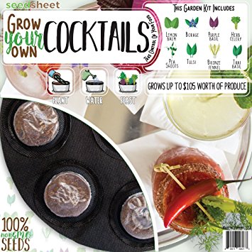 holiday gift guide grow your own cocktail garden