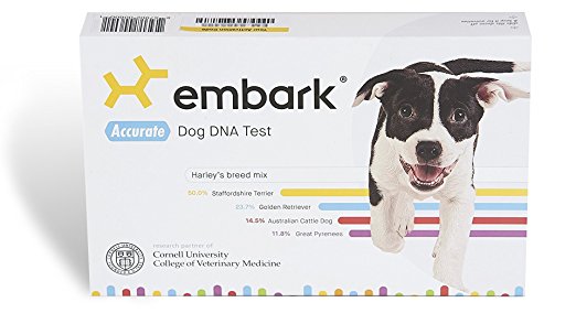 holiday gift guide Embark Veterinary Dog DNA Test 