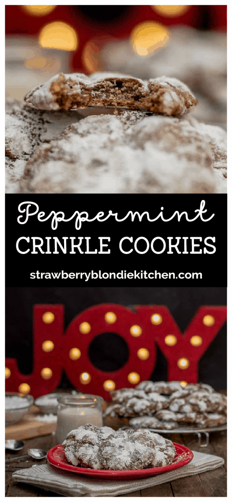 Peppermint Crinkle Cookies are delicious, chocolaty, minty bites of cookies suitable for the big guy himself! | Strawberry Blondie Kitchen