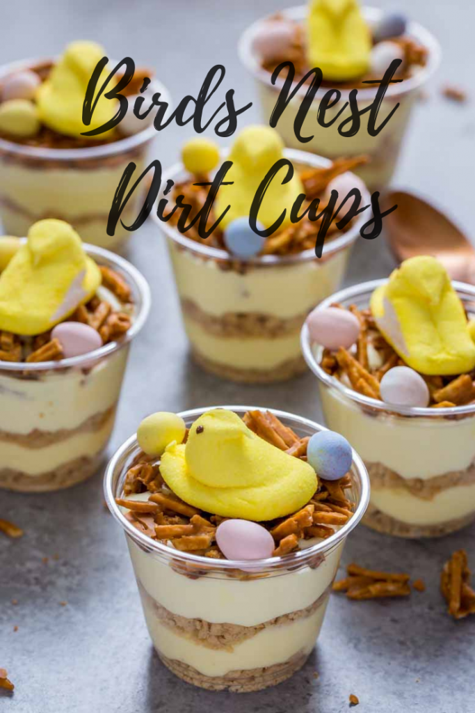 birds nest easter dirt cups