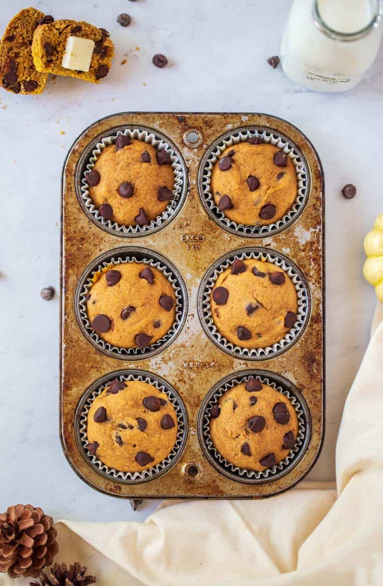 Pumpkin Chocolate Chip Muffins in a muffin tin