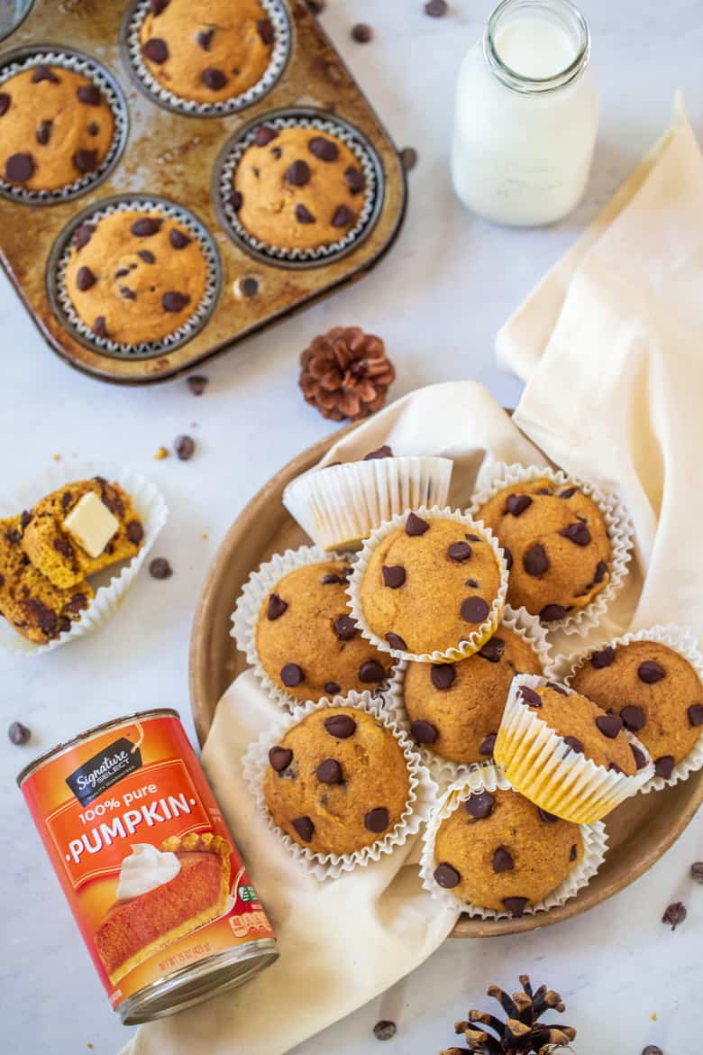 Pumpkin Chocolate Chip Muffins on a plate and in muffin tin with milk and canned pumpkin puree