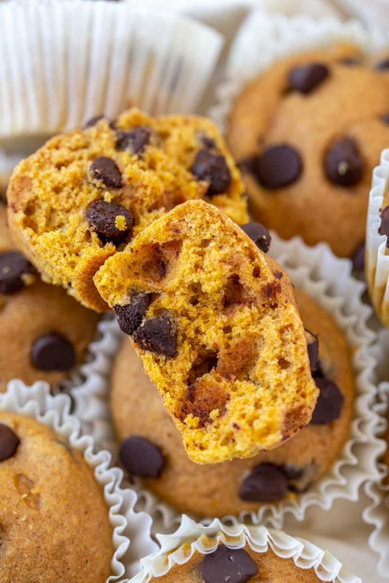 Inside photography shot of Pumpkin Chocolate Chip Muffins