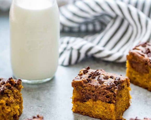 Chocolate Swirled Pumpkin Bars