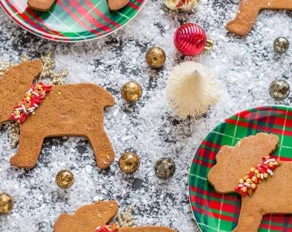 Merry Moose Cookies